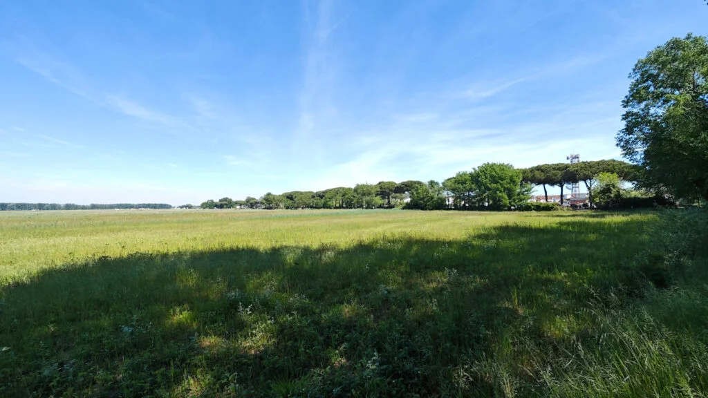 Chi siamo general 2 agenzia immobiliare mareblu