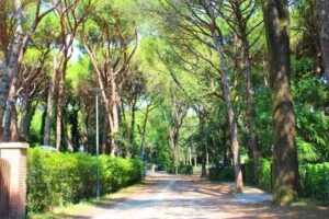 Immersi nel verde 01