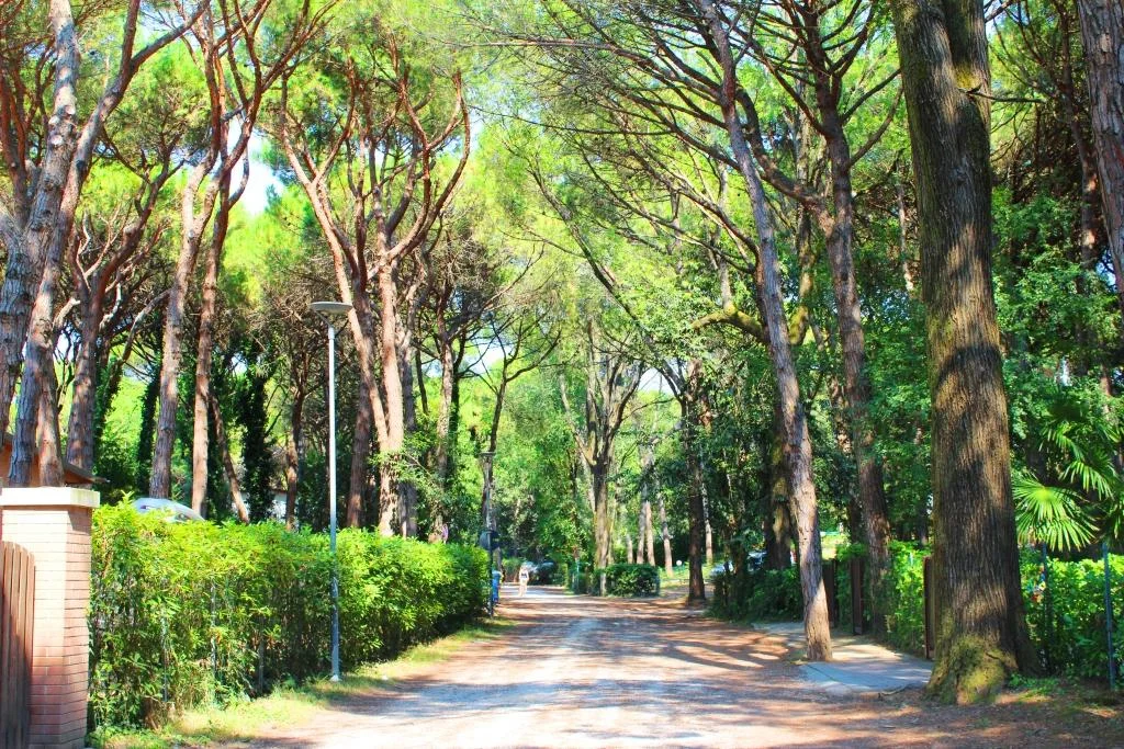 Immersi nel verde 03