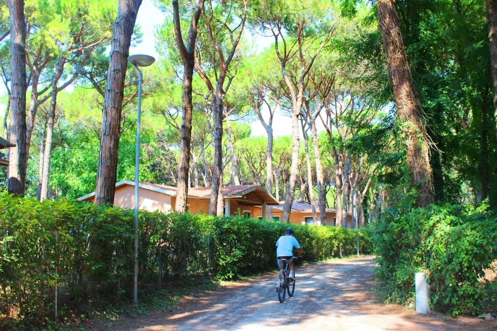 Immersi nel verde 04