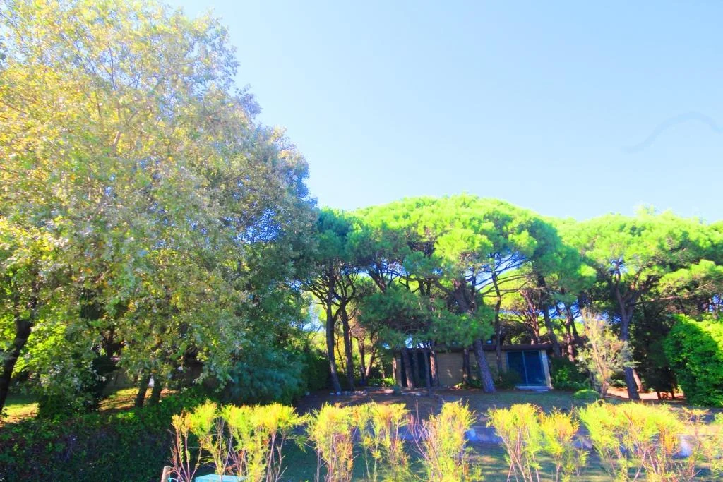 Immersi nel verde 05