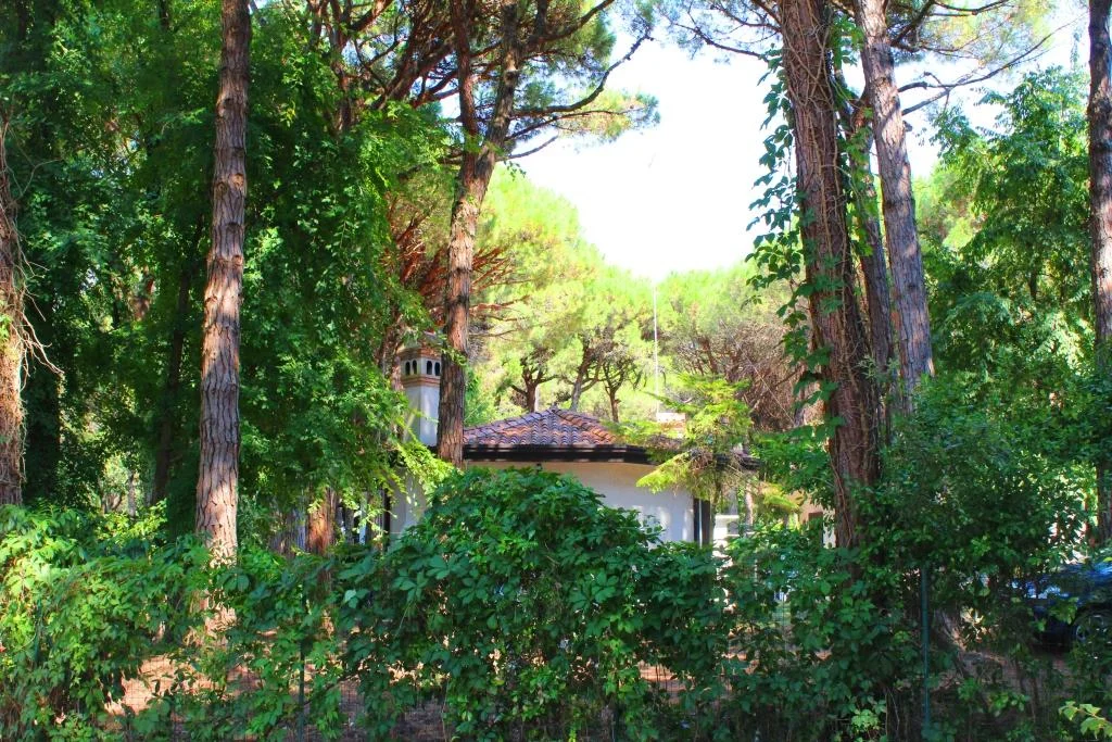 Immersi nel verde 06