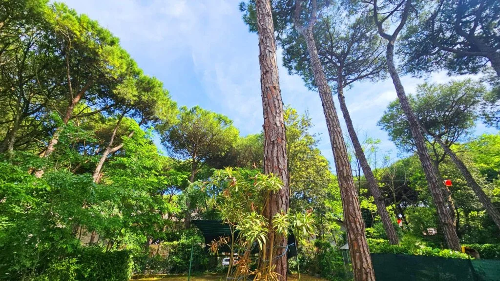Immersi nel verde 2 03
