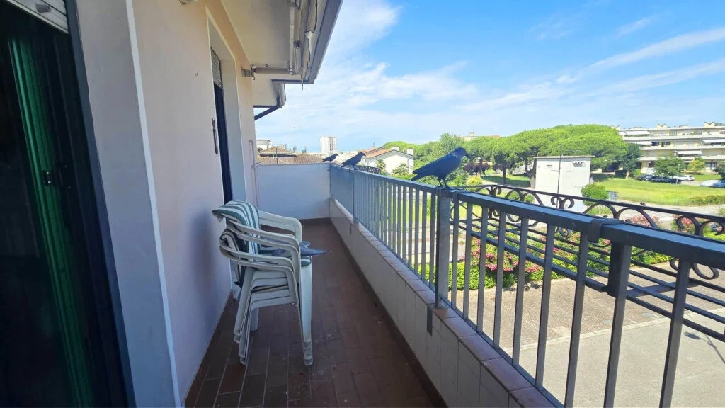 Terrazzo spazioso centro condominio eleonora eraclea mare 2